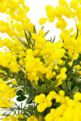 RAMO DE FLORES ARTIFICIALES MIMOSAS XL